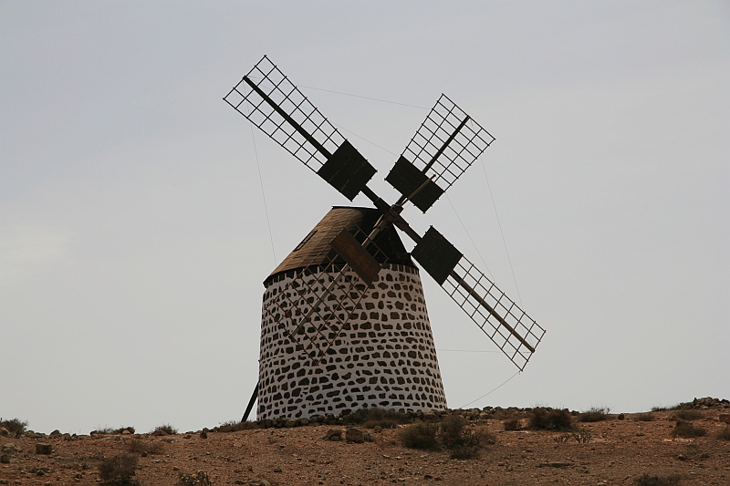 Kanary_2010 161